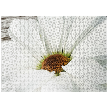 puzzleplate Flowers & Plants Photography: Daisy In Bloom 500 Jigsaw Puzzle