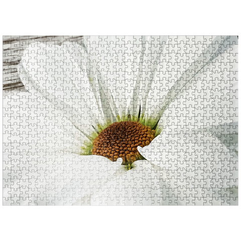 puzzleplate Flowers & Plants Photography: Daisy In Bloom 500 Jigsaw Puzzle