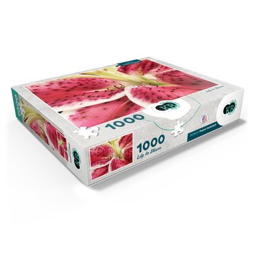 Flowers & Plants Photography: Lily In Bloom 1000 Jigsaw Puzzle box view1