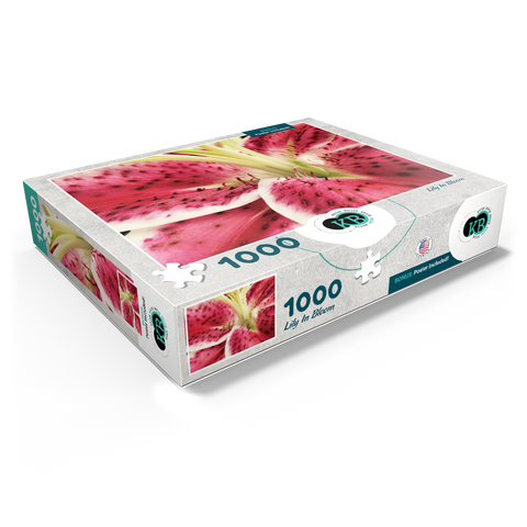 Flowers & Plants Photography: Lily In Bloom 1000 Jigsaw Puzzle box view1