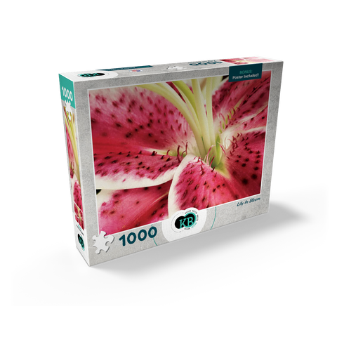 Flowers & Plants Photography: Lily In Bloom 1000 Jigsaw Puzzle box view2