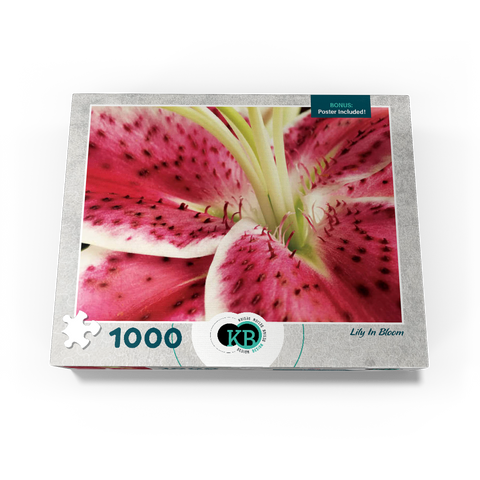 Flowers & Plants Photography: Lily In Bloom 1000 Jigsaw Puzzle box view3