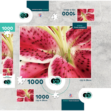 Flowers & Plants Photography: Lily In Bloom 1000 Jigsaw Puzzle box 3D Modell