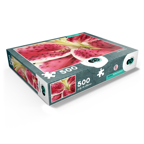 Flowers & Plants Photography: Lily In Bloom 500 Jigsaw Puzzle box view1