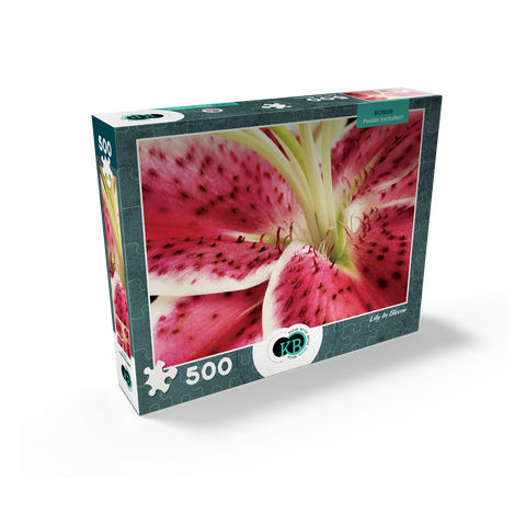 Flowers & Plants Photography: Lily In Bloom 500 Jigsaw Puzzle box view2