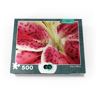 Flowers & Plants Photography: Lily In Bloom 500 Jigsaw Puzzle box view3