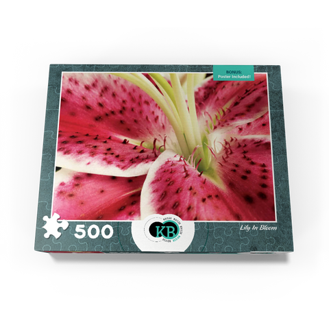 Flowers & Plants Photography: Lily In Bloom 500 Jigsaw Puzzle box view3