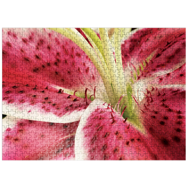 puzzleplate Flowers & Plants Photography: Lily In Bloom 500 Jigsaw Puzzle