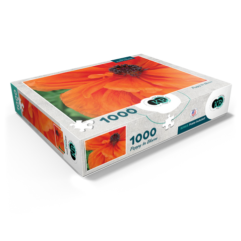 Flowers & Plants Photography: Poppy In Bloom 1000 Jigsaw Puzzle box view1