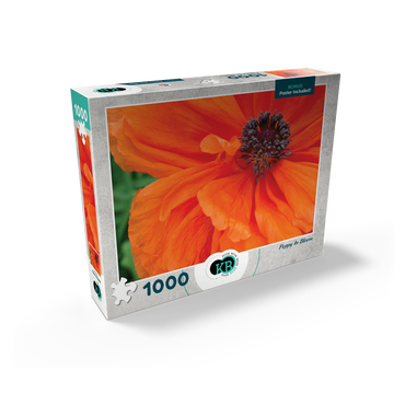 Flowers & Plants Photography: Poppy In Bloom 1000 Jigsaw Puzzle box view2