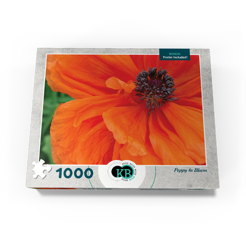 Flowers & Plants Photography: Poppy In Bloom 1000 Jigsaw Puzzle box view3