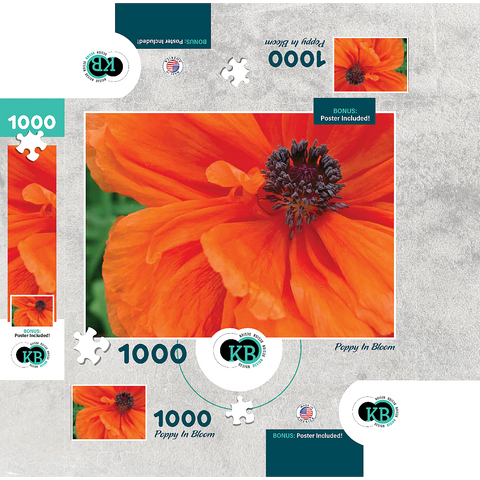 Flowers & Plants Photography: Poppy In Bloom 1000 Jigsaw Puzzle box 3D Modell