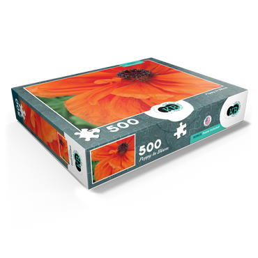 Flowers & Plants Photography: Poppy In Bloom 500 Jigsaw Puzzle box view1