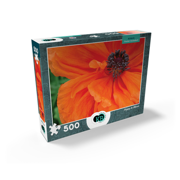 Flowers & Plants Photography: Poppy In Bloom 500 Jigsaw Puzzle box view2