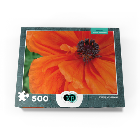 Flowers & Plants Photography: Poppy In Bloom 500 Jigsaw Puzzle box view3