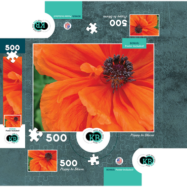 Flowers & Plants Photography: Poppy In Bloom 500 Jigsaw Puzzle box 3D Modell