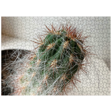 puzzleplate Flowers & Plants Photography: The Hairy Cactus 500 Jigsaw Puzzle