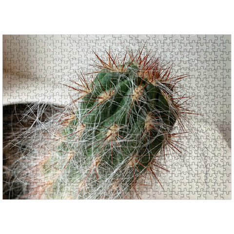 puzzleplate Flowers & Plants Photography: The Hairy Cactus 500 Jigsaw Puzzle