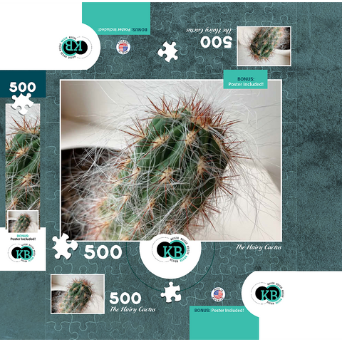 Flowers & Plants Photography: The Hairy Cactus 500 Jigsaw Puzzle box 3D Modell