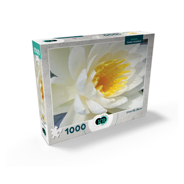 Flowers & Plants Photography: Waterlily Bloom 1000 Jigsaw Puzzle box view2