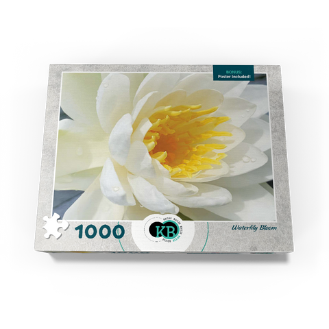 Flowers & Plants Photography: Waterlily Bloom 1000 Jigsaw Puzzle box view3