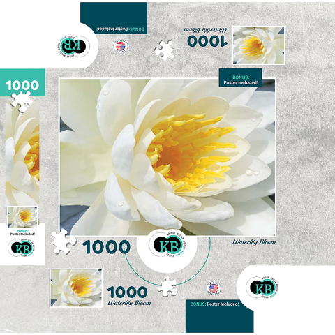 Flowers & Plants Photography: Waterlily Bloom 1000 Jigsaw Puzzle box 3D Modell