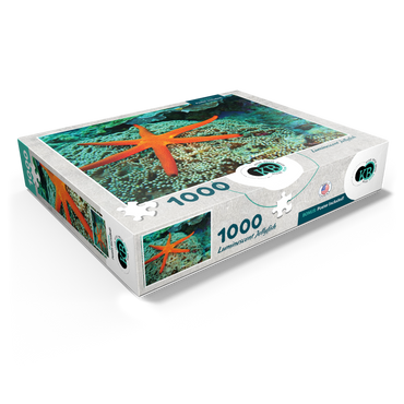 Sea Life Photography: Luminescent Ocean Starfish 1000 Jigsaw Puzzle box view1