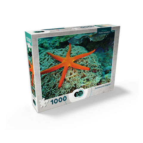 Sea Life Photography: Luminescent Ocean Starfish 1000 Jigsaw Puzzle box view2