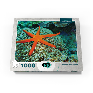 Sea Life Photography: Luminescent Ocean Starfish 1000 Jigsaw Puzzle box view3