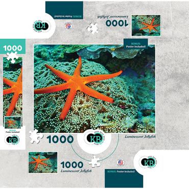 Sea Life Photography: Luminescent Ocean Starfish 1000 Jigsaw Puzzle box 3D Modell