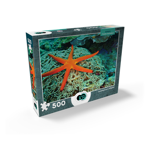 Sea Life Photography: Luminescent Ocean Starfish 500 Jigsaw Puzzle box view2