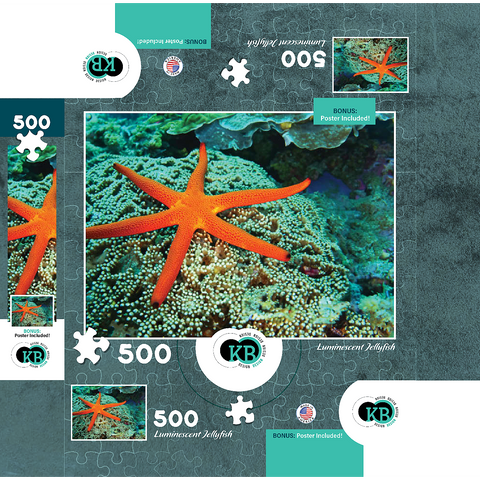 Sea Life Photography: Luminescent Ocean Starfish 500 Jigsaw Puzzle box 3D Modell