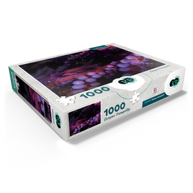 1000