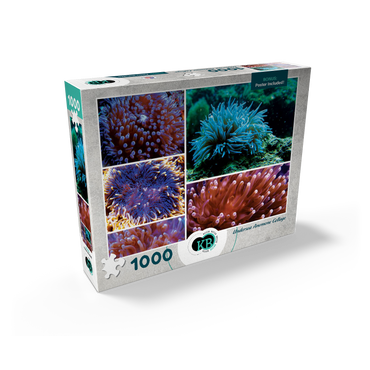 Sea Life Photography: Undersea Anemone Collage 1000 Jigsaw Puzzle box view2