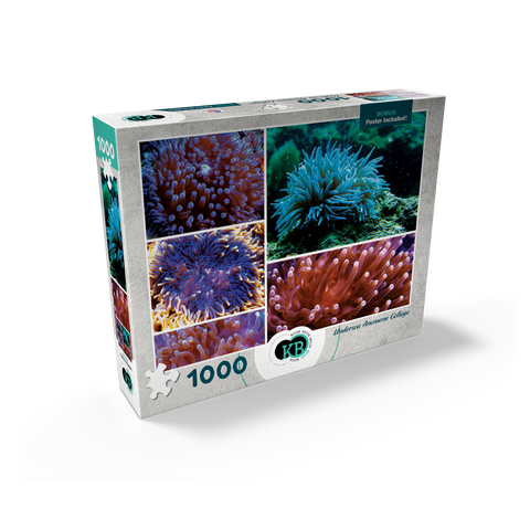 Sea Life Photography: Undersea Anemone Collage 1000 Jigsaw Puzzle box view2