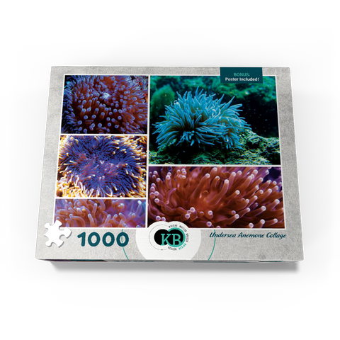 Sea Life Photography: Undersea Anemone Collage 1000 Jigsaw Puzzle box view3