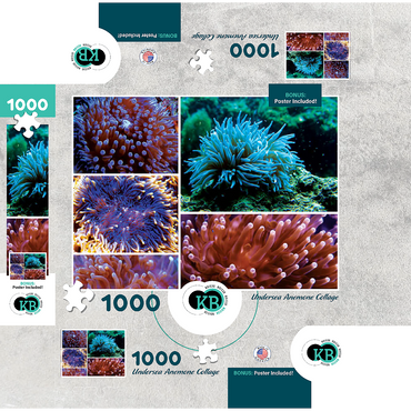 Sea Life Photography: Undersea Anemone Collage 1000 Jigsaw Puzzle box 3D Modell