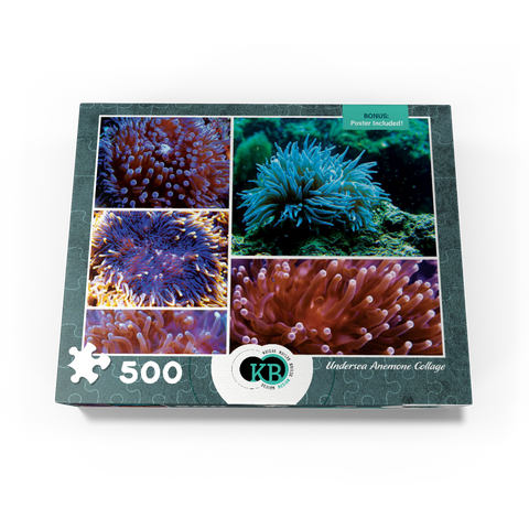 Sea Life Photography: Undersea Anemone Collage 500 Jigsaw Puzzle box view3