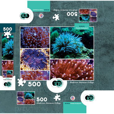 Sea Life Photography: Undersea Anemone Collage 500 Jigsaw Puzzle box 3D Modell