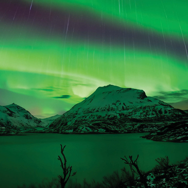 Nature Photography: Northern Lights Arctic Light Showers 1000 Jigsaw Puzzle 3D Modell