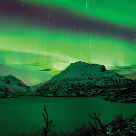 Nature Photography: Northern Lights Arctic Light Showers 1000 Jigsaw Puzzle 3D Modell