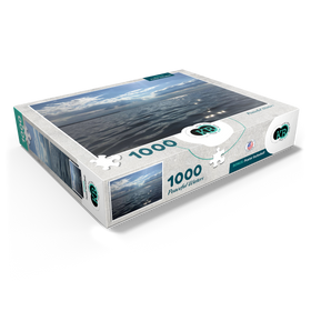 1000