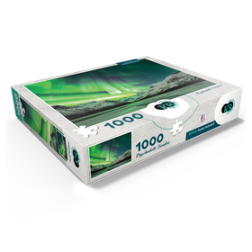 1000