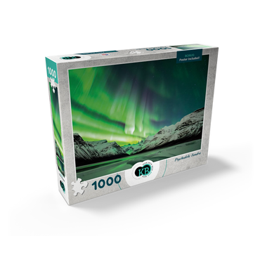 Nature Photography: Northern Lights Psychedelic Tundra 1000 Jigsaw Puzzle box view2