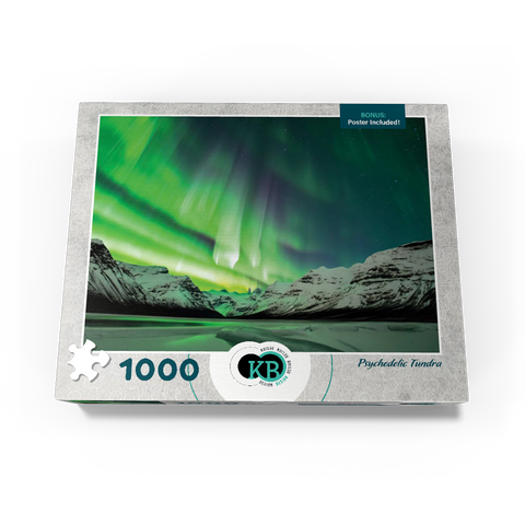 Nature Photography: Northern Lights Psychedelic Tundra 1000 Jigsaw Puzzle box view3