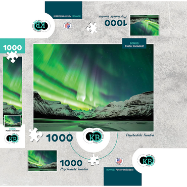 Nature Photography: Northern Lights Psychedelic Tundra 1000 Jigsaw Puzzle box 3D Modell