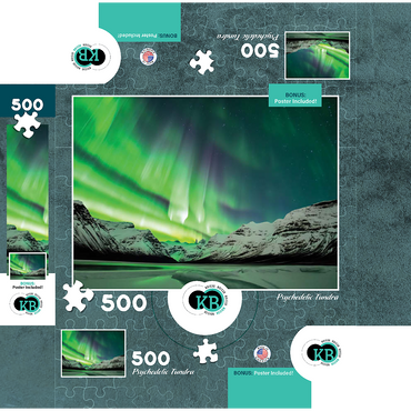 Nature Photography: Northern Lights Psychedelic Tundra 500 Jigsaw Puzzle box 3D Modell