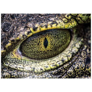 puzzleplate Macro Photography: Alligator Stare Reptile Eye 500 Jigsaw Puzzle