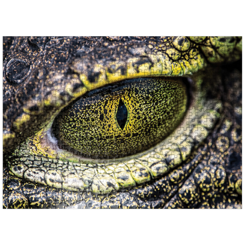 puzzleplate Macro Photography: Alligator Stare Reptile Eye 500 Jigsaw Puzzle