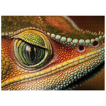 puzzleplate Macro Photography: Curious Chameleon Reptile Eye 500 Jigsaw Puzzle